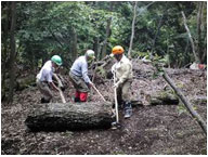 森林づくりボランティア